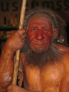 Smiling Neanderthal thinks modern human brains are shrinking